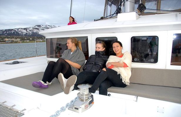 Fjord Cruise with Luxury Catamaran in Tromso