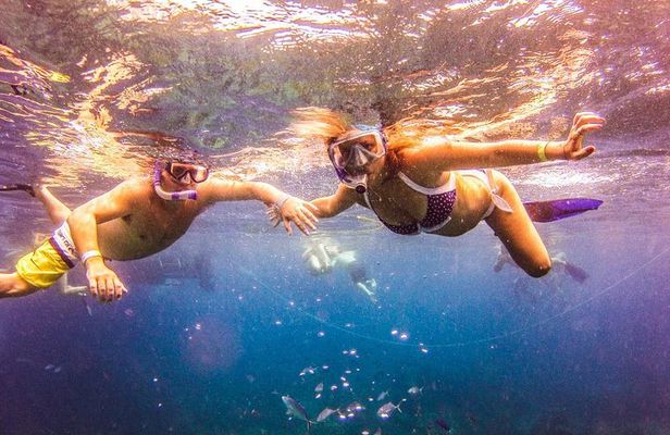 Full-Day Catalina Island Snorkeling Tour from Punta Cana