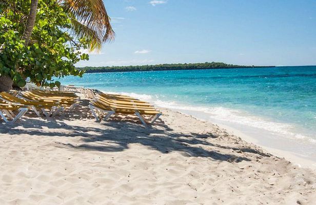 Full-Day Catalina Island Snorkeling Tour from Bavaro