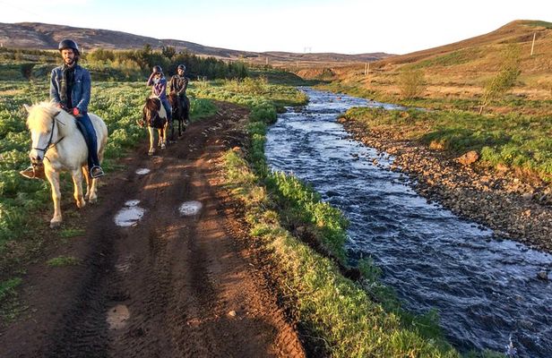 3 hour Private Horse Riding Tour in Mosfellsdalur