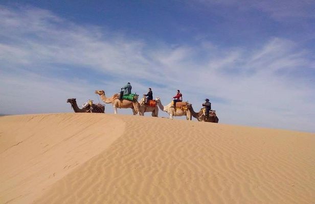 3 hours Camel Ride in Essaouira, beach and dunes