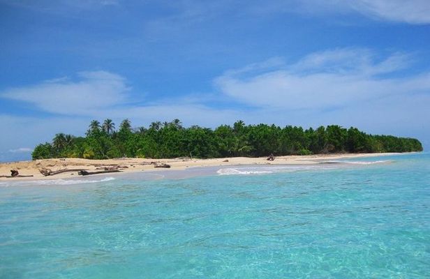Full-Day Speedboat Tour, Wildlife, and Snorkeling in Bocas del Toro in Panama