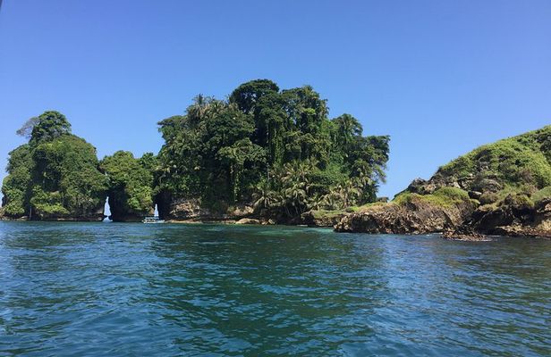 Speed Boat tour to Mangrove Point -Starfish Beach -Bocas del Drago and Birds Island
