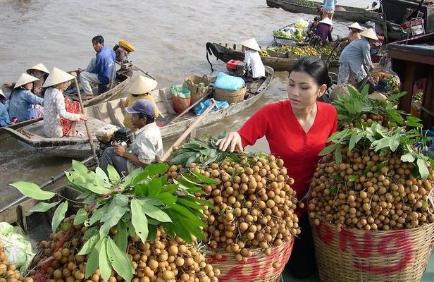 Private Luxury Tour Mekong Delta 1 day