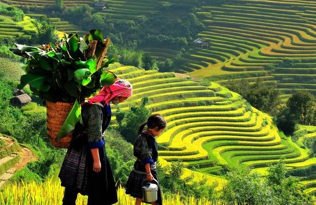 Sapa Trekking Tours - 2 Days 1 Night Stay At Homestay