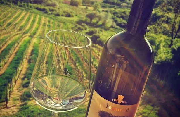 The Dionysus Tour - Wine Tasting at Plešivica and Samobor visit