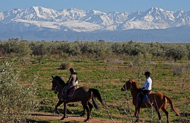 Marrakech Horse Riding
