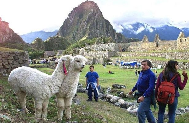 15-Day Peru Tour from Lima Including Paracas, Arequipa and Puno