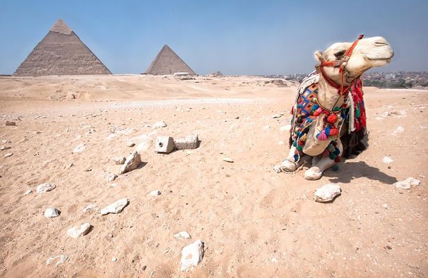 Sunset Safari Tour By Horse or Camel Ride