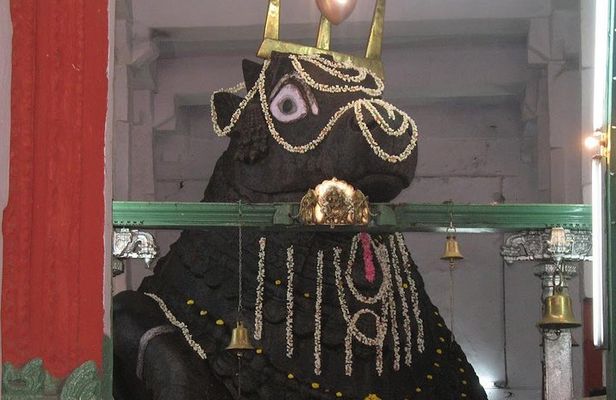 Sacred Bull walking tour in Bangalore with guide