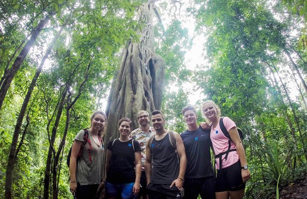 Chiang Mai: Doi Suthep Summit Trek – 7 Hour Pure Hiking Adventure