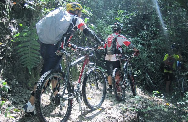 No.1 Chiang Mai: Advanced XC Downhill Biking, Doi Suthep N. Park