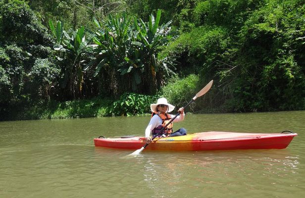 Chiang Mai Biking & River Kayak : Gentle Thrills in a Lush Valley