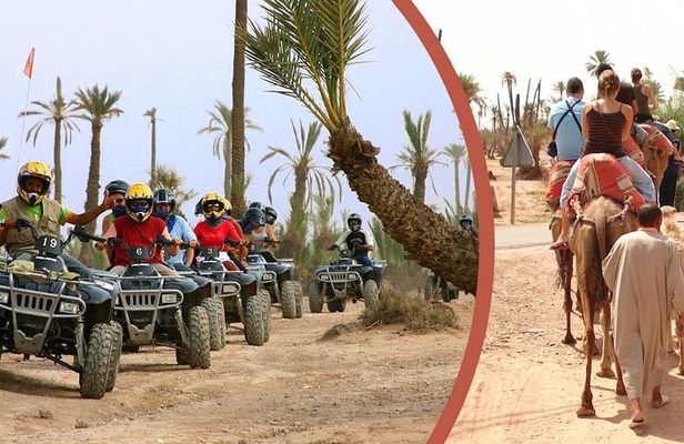 Quad Bike and Camel Ride Full-Day Tour from Marrakech