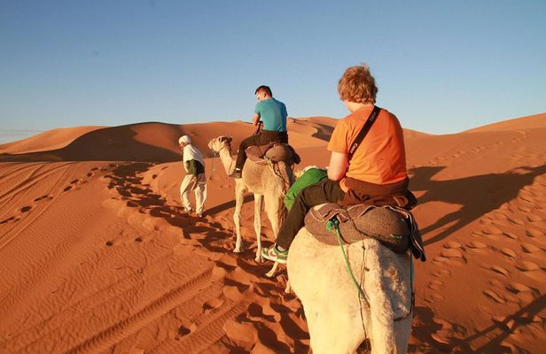 Day Trip to Erg Chigaga Dunes from Zagora