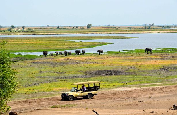 Chobe National Park Game Drive, Botswana