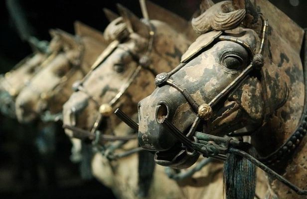 Quick Tour to Xi'an Terracotta Warriors from Beijing by Air in One Day