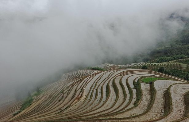Private Day Tour: Longji Rice Terraces and Long Hair Village