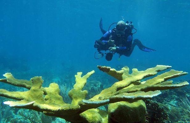 Fajardo 2-Tank Scuba Dive for Certified Divers Only
