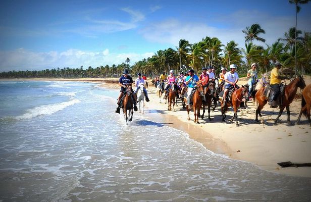 Small-Group Half-Day Horseback Riding Tour from Punta Cana