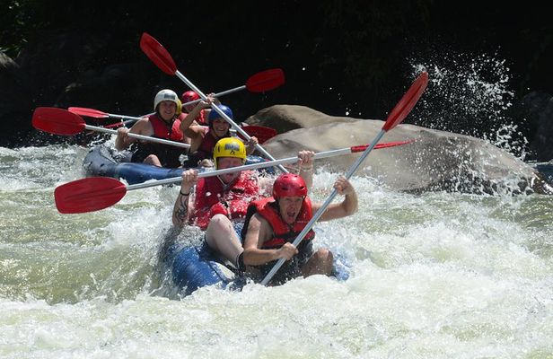 Tully River White Water Rafting Half day- from Mission Beach