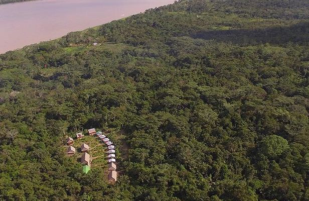 2-Day All Inclusive Guided Jungle Tour from Iquitos at Maniti Eco-Lodge