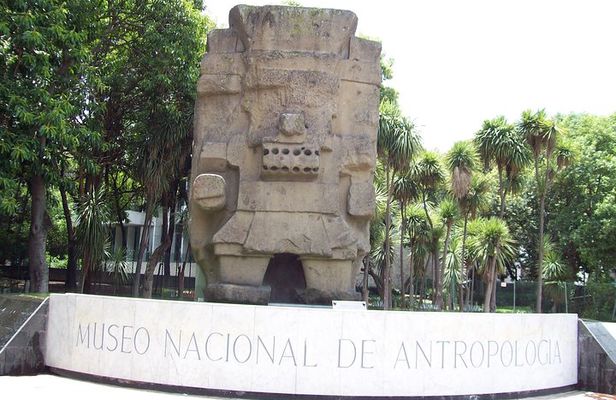 Anthropology Museum Private Experience Walking Tour