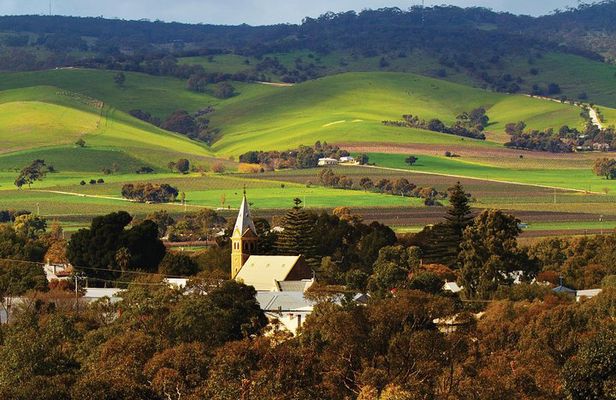 Hop-On Hop-Off Barossa Valley Wine Region Tour from Adelaide