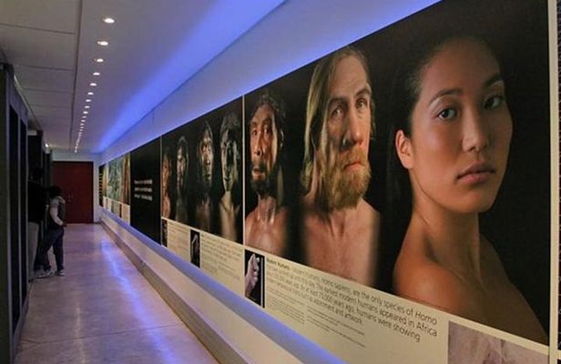 Cradle of Humankind and Lion and Safari Park Tour from Johannesburg or Pretoria