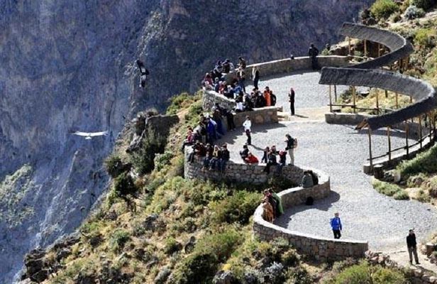 Fullday Colca Canyon with lunch from Arequipa