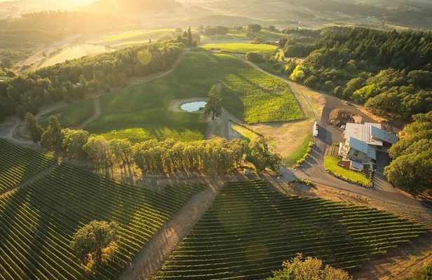 Tour DeVine by Heli - Helicopter Wine Tour
