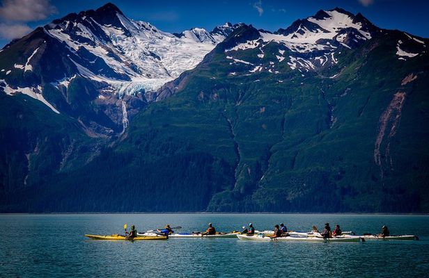 Inside Passage Sea Kayaking in Haines