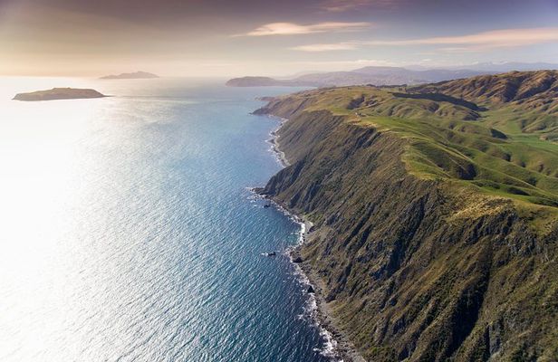 Wellington South Coast Discovery Helicopter Flight