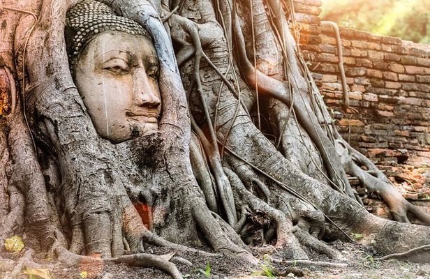 Best of Ayutthaya Private Guided Day Tour