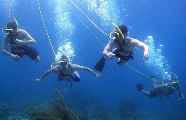 Platinum Power Shore Adventure, Hookah Diving, and Snorkeling