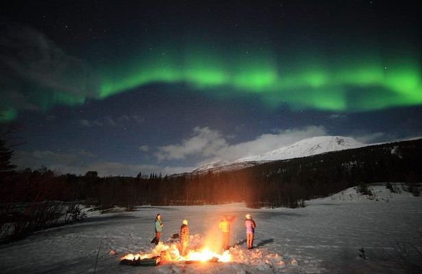 Northern Lights Tour Including Photos Under the Lights in Tromso