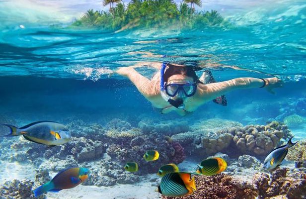 Koh Samui Snorkeling and Kayaking