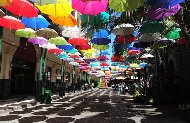 Port Louis and Pamplemousses Garden - A full day trip