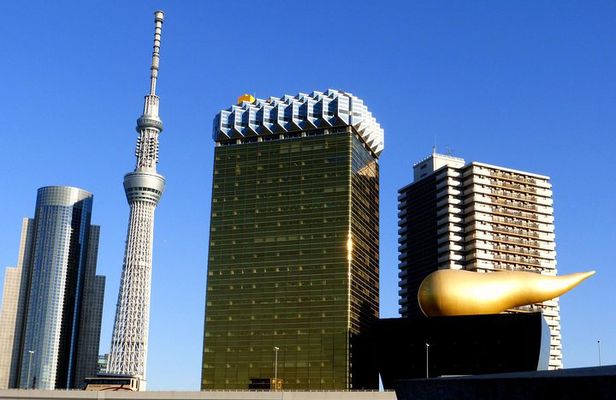 Private Custom Tokyo Tour VIP