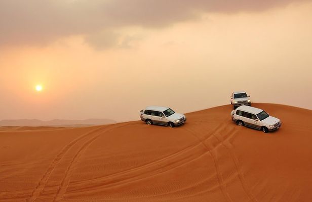 PRIVATE Red Dune Desert Safari, BBQ Dinner, Camel Ride & Falcon Photo