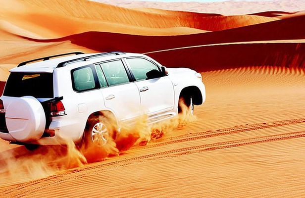 Red Dunes Safari with BBQ dinner, Falcon and Camel Ride