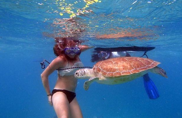 Paddle and Snorkel Tour