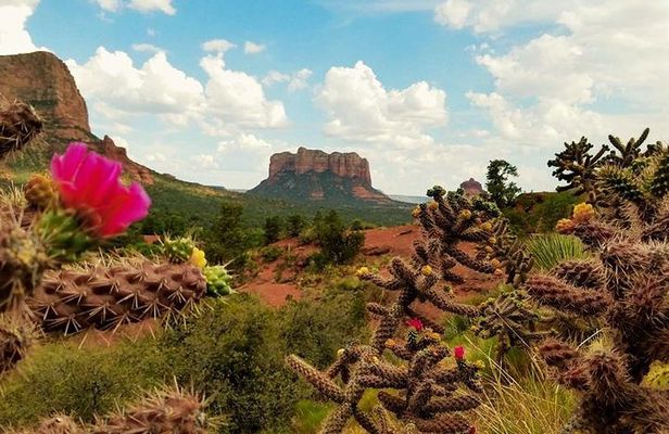 Sedona Day Trip from Phoenix