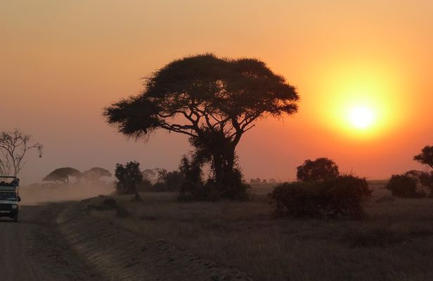 4-Day Safari: Lake Manyara, Serengeti & Ngorongoro