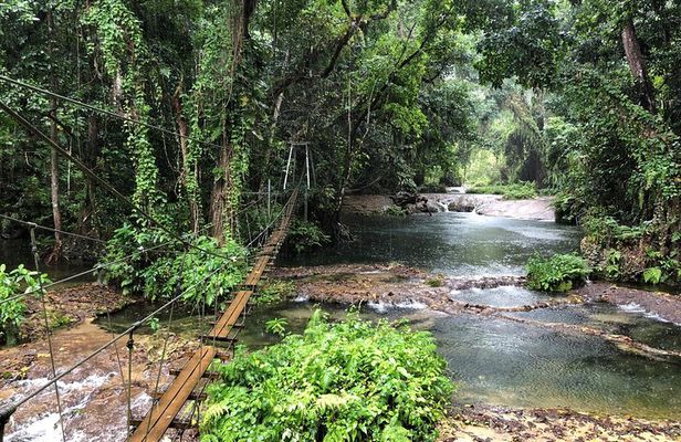 Bridges of Eden with Yumi Tours
