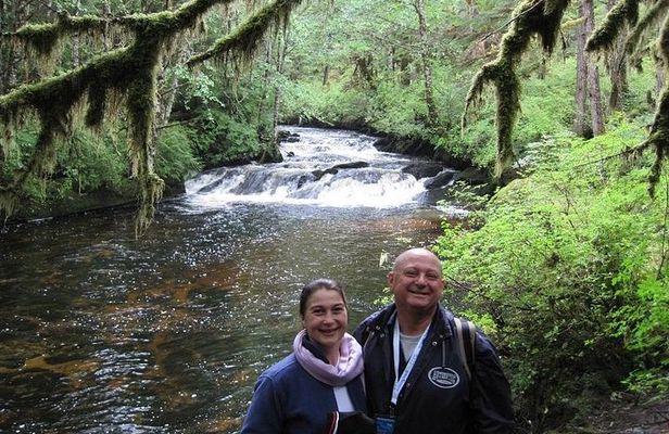 3 Hour Rainforest Walk & Totem Park Wild Wolf Tours