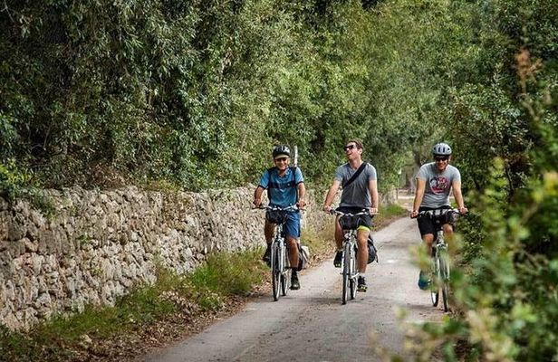 Lecce to Cesine Protected Natural Reserve Full-Day Bike Tour
