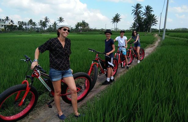Electric Bike Tour in Ubud