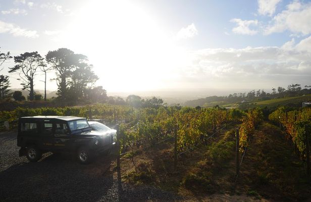Private: Full Day Ultra-Premium Wine Tour from Cape Town to Constantia
