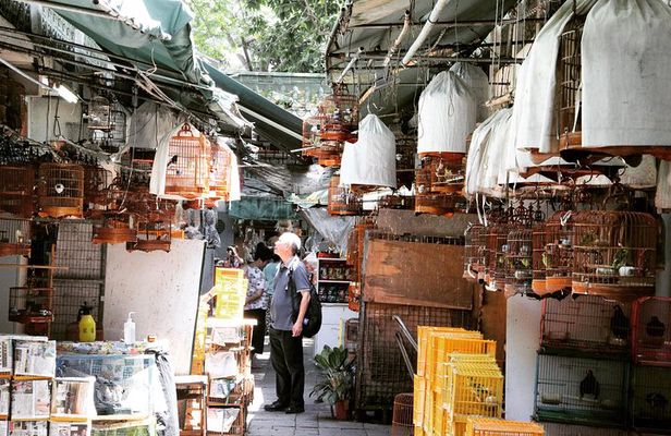 Small-Group Tour: Hong Kong Local Markets Hopper [PROMOTION]